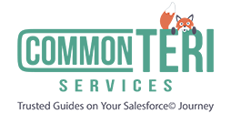 CommonTeri Services Logo